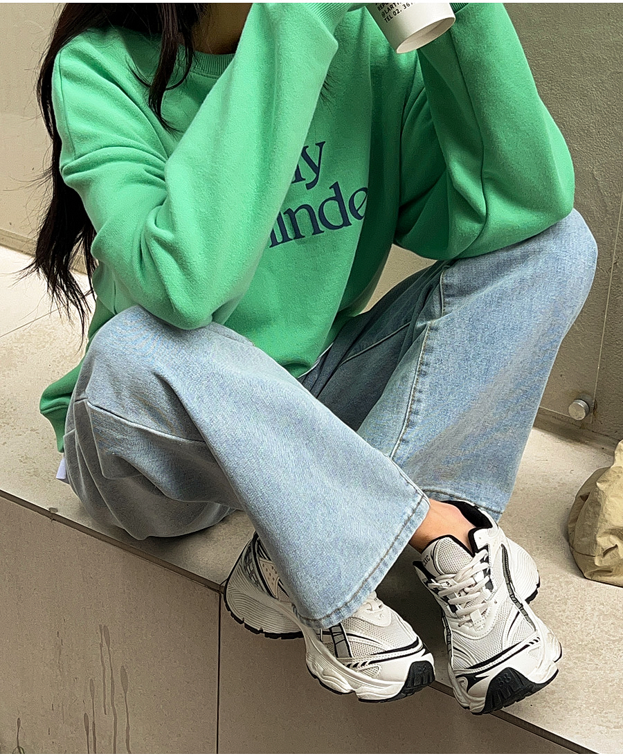 ̹