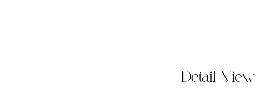 ̹